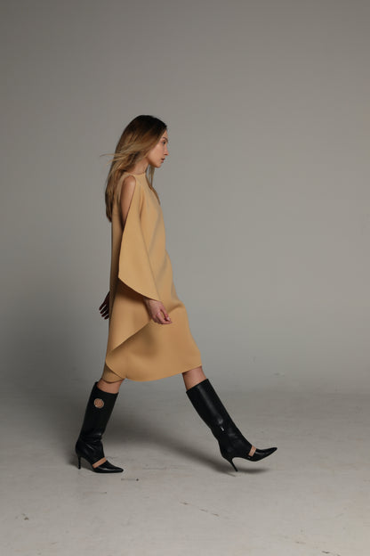 Asymmetrical Dress