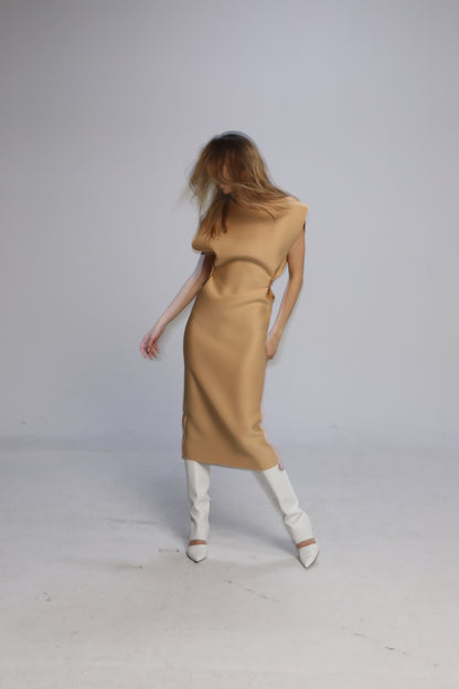 Snap Dress