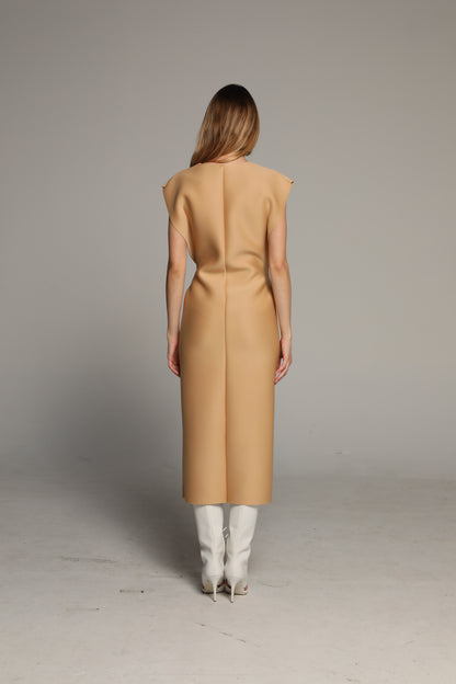 Snap Dress